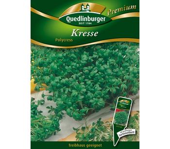 Quedlinburger Samen Kresse 'Polycress'