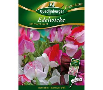 Quedlinburger Samen Edelwicke 'Old Sweet Scent', Rosa / Weiß