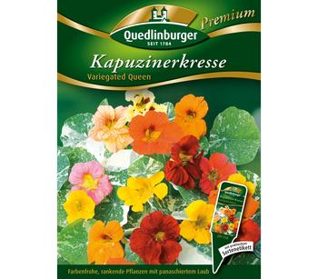 Quedlinburger Samen Kapuzinerkresse 'Variegated Queen'