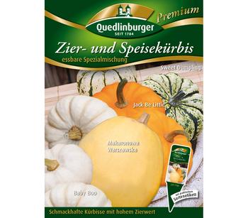 Quedlinburger Zier- und Speisekürbis 'essbare Spezialmischung'