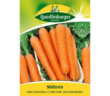 Quedlinburger Samen Möhren 'Frühe Amsterdam 2'