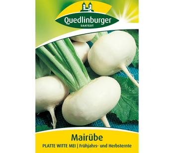 Quedlinburger Samen Mairübe 'Platte Witte Mei'