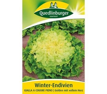 Quedlinburger Samen Winter-Endivien 'Gialla A Couore Pieno'