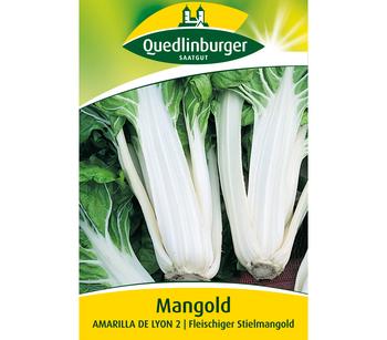 Quedlinburger Samen Mangold 'Amarilla De Lyon 2'