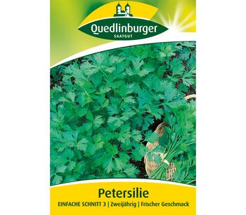 Quedlinburger Samen Petersilie 'Einfache Schnitt 3'