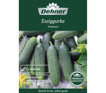 Dehner Premium Samen Essiggurke 'Diamant'