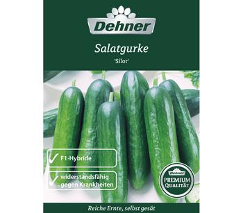 Dehner Premium Samen Salatgurke 'Silor'