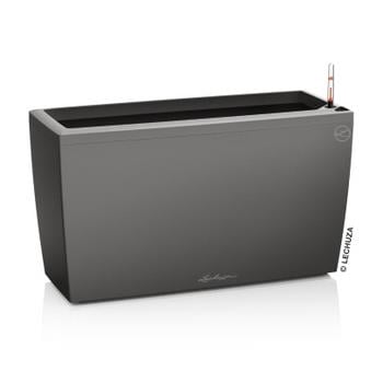 LECHUZA® Kunststoff-Kasten CARARO All-in-One-Set, rechteckig, ca. B75/H43/T30 cm