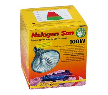 Lucky Reptile Wärmestrahler Halogen Sun