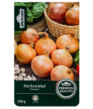 Dehner Premium Steckzwiebel 'Centurion'