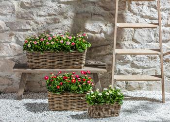 blumenständer ferm living Designer-Vasenhalter von Ferm Living main image 0