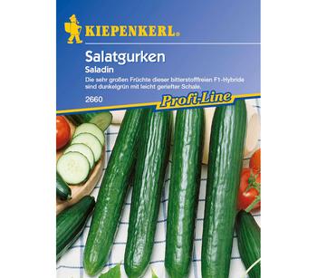 2 x Kiepenkerl Saatgut Salatgurke 'Saladin' - Mindestbestellmenge: 2 Stk.