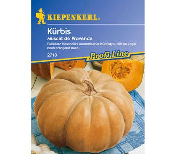 Kiepenkerl Saatgut Kürbis 'Muscat de Provence'