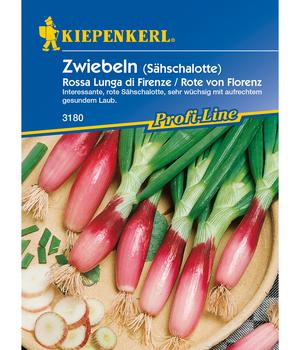 Kiepenkerl Saatgut Lauchzwiebel 'Florenz'