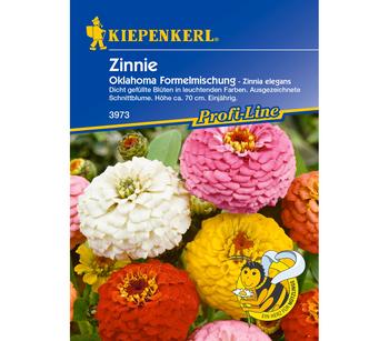 Kiepenkerl Saatgut Zinnie Oklahoma Mix