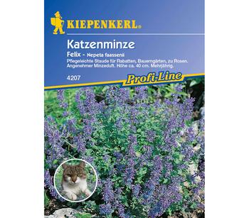 Katzenminze Felix, Saatgut von Kiepenkerl, Blau