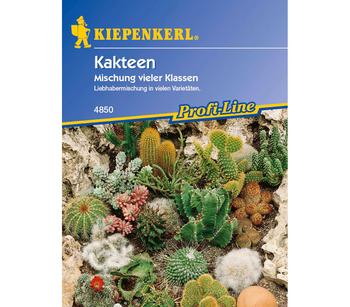 Kiepenkerl Samen Kakteen