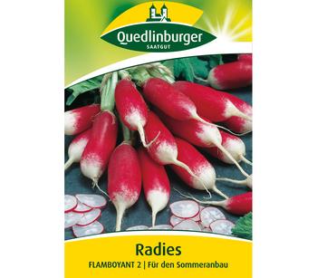 Quedlinburger Samen Radies 'Flamboyant 2'