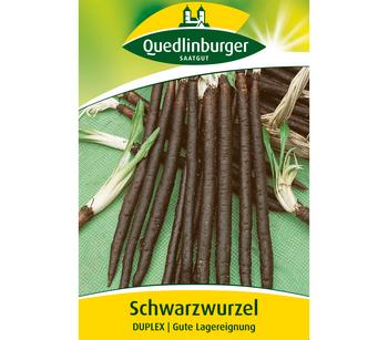 Quedlinburger Samen Schwarzwurzel 'Duplex'