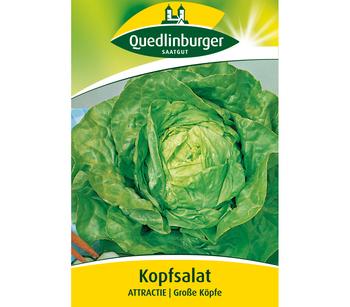 Quedlinburger Samen Kopfsalat 'Attractie'