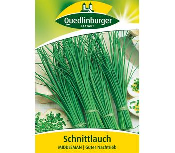 Quedlinburger Samen Schnittlauch 'Middleman'