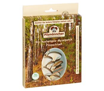 Pilzmännchen Bio Pilzzuchtset Austernpilz-Myzelpatch