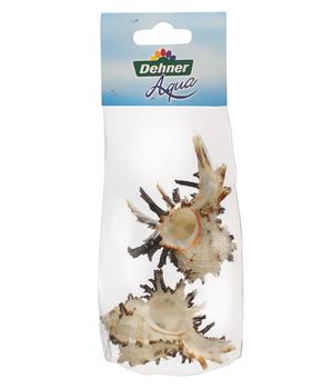 Dehner Aqua Aquariumdeko Schneckengehäuse Murex, 2er Pack