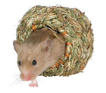 Trixie Grasnest, ca. B19/H10 cm