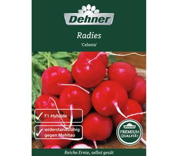2 x Dehner Premium Samen Radies 'Celesta' - Mindestbestellmenge: 2 Stk.