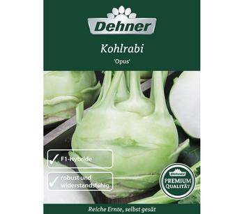 Dehner Premium Samen Kohlrabi 'Opus'