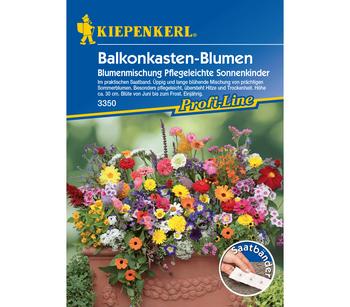Blumenmischung Sonnenkinder, Saatgut von Kiepenkerl