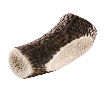 Chewies Hundesnack Geweihstange