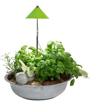 Venso LED-Pflanzenlampe, Hellgrün - Aluminium