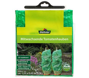 Dehner Mitwachsende Tomatenhaube, 5 Stück, Hellgrün - Kunststoff
