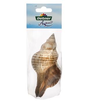 Dehner Aqua Aquariumdeko Schneckengehäuse Trapezium Large