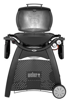 Weber q3000 grill online