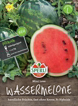 SPERLI Samen Wassermelone 'Mini Love'