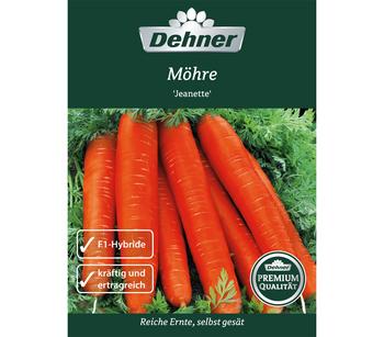 Dehner Premium Samen Möhre 'Jeanette', Orange