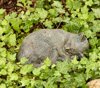 Rottenecker Bronze-Katze kuschelnd, 22 x 28 x 11 cm