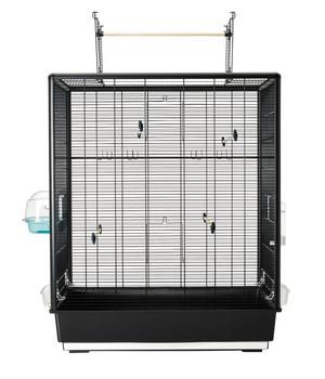 SAVIC Vogelheim Primo 60 open Empire