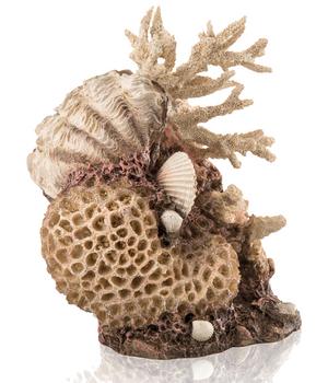 biOrb Aquariumdeko Korallen-Muschel Ornament Natural
