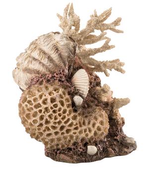 biOrb Aquariumdeko Korallen-Muschel Ornament Natural
