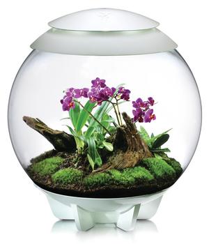 biOrb Terrarium AIR 60, Weiß