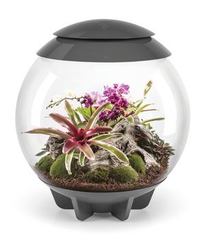 biOrb Terrarium AIR 60, Grau