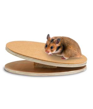 Dehner Lieblinge Laufteller Korky, 25cm