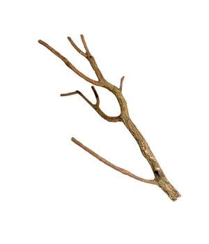 Hobby® Terrariendeko Korktroncho