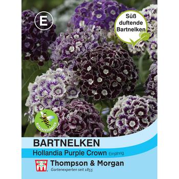 Thompson & Morgan Samen Bartnelken 'Purple Crown'