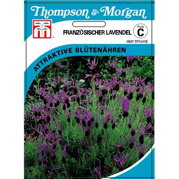 Thompson & Morgan Samen Französischer Lavendel