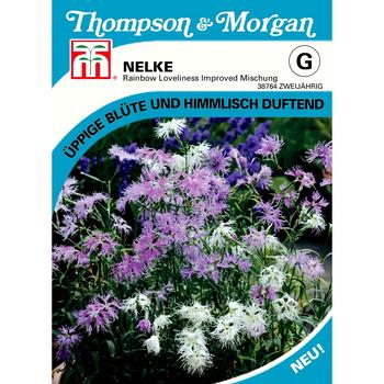 Thompson & Morgan Samen Nelke 'Rainbow Loveliness Improved Mischung'