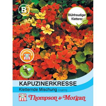 Thompson & Morgan Samen Kapuzinerkresse 'Kletternde Mischung'